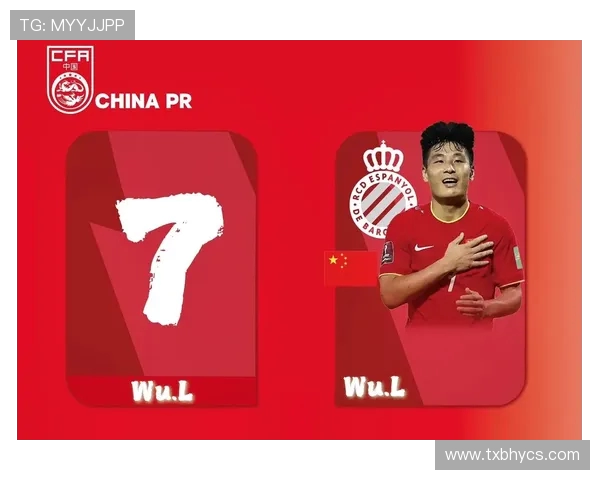 中国足球迎来新篇章，卡塔尔世界杯亚洲区预选赛大揭秘与中国队最新阵容分析