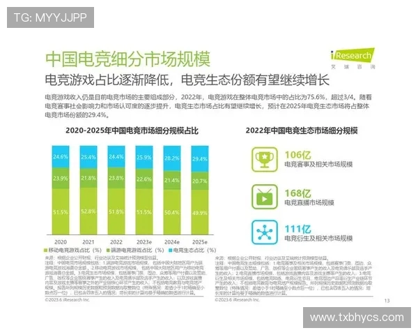 全球电竞产业未来趋势与职业生态全面深度观察报告蓝图前瞻视野展