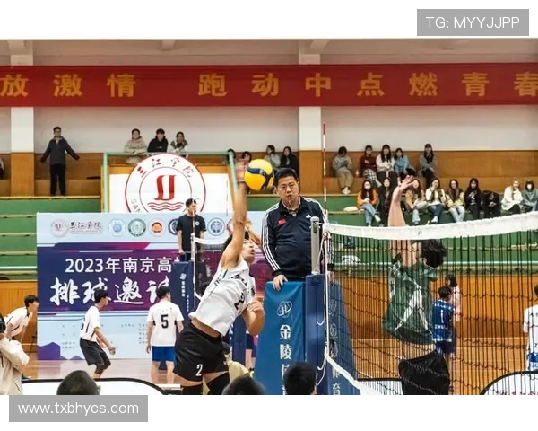 南京排球队实力强劲荣登排球力量排行榜第九名