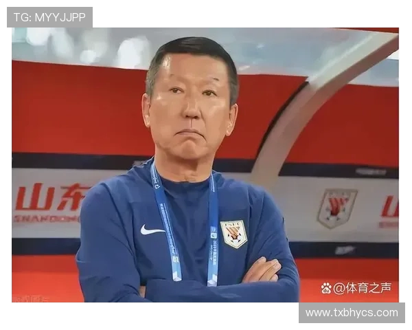 南京羽毛球队技术争议引发热议球迷与专家各执己见探讨战术与技巧