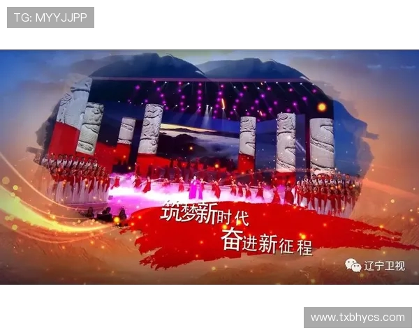 深圳排球队的辉煌征程与大满贯梦想的追逐之路