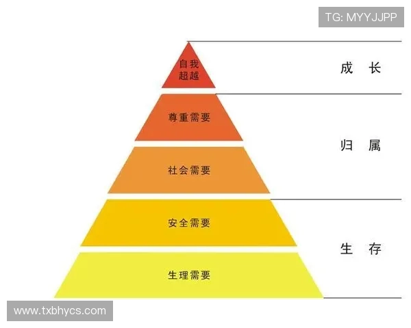 西安网球队意识对比分析揭示团队协作与个人表现的深层关系