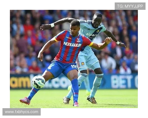 伯利恩主场迎战水晶宫期待精彩对决双方争夺英超宝贵积分